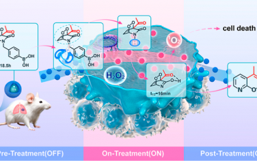 JACS：基于吡啶酮-吡啶互变异构体工程的可编程单线态氧电池用于实现自动化光动力治疗