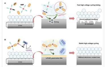 AEM：通过氢键调节溶剂化以减轻高压锂离子电池铝集流体的腐蚀