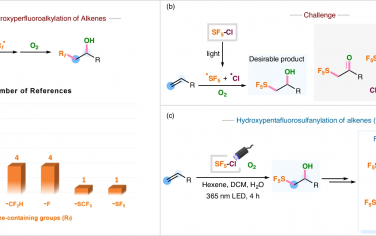 内蒙古大学Nature Commun：无催化剂的SF5Cl和O2对烯烃光催化官能团化