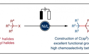 Nature Catalysis：Ni电催化烷基卤化物的C(sp3)-(sp3)偶联