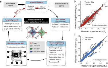 Nature Commun：机器学习预测钙钛矿氧空穴对于电催化剂的影响