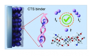 JACS：Janus 粘合剂化学同步增强碘物质吸附和氧化还原动力学，实现可持续水性 Zn−I2 电池