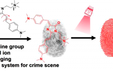 JACS：从头合成的绿色荧光蛋白发色团基探针可通过便携式系统捕获潜在指纹