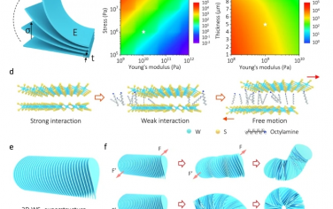 Nat Commun：柔性二硫化钨超结构工程用于阴离子交换膜水电解器中高效碱性析氢