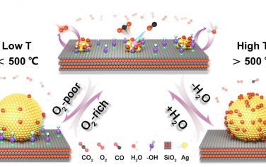 包信和院士&傅强研究员Angew：动态限域Ag纳米簇具有宽温区CO催化氧化