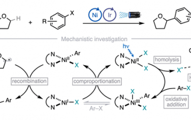 JACS：Ni光催化C(sp3)-H芳基化