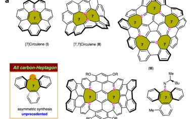 Nature Communications：钯催化不对称卡宾偶联制备固有手性含七面体的聚芳烃