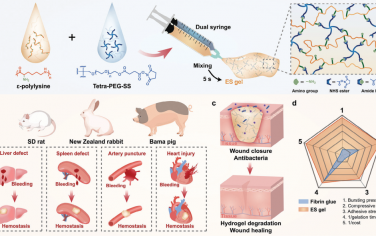 Adv. Mater：具有超高爆裂压和抗菌活性的可注射水凝胶用于紧急止血和伤口修复