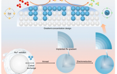 哈工大Nature Commun：梯度变化的RuCo电催化还原硝酸盐