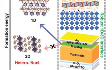AM：高性能光伏热稳定1D/3D钙钛矿界面的形成动力学