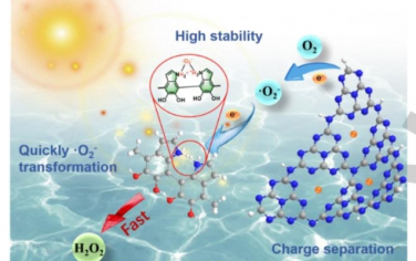 Angew：聚多巴胺还原超氧自由基中间体以实现高效的过氧化氢光合作用