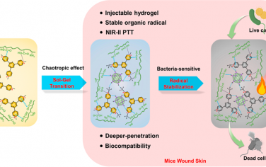 Nano Lett：离液效应诱导的溶胶-凝胶转变和自由基稳定用于实现对细菌敏感的近红外光热治疗