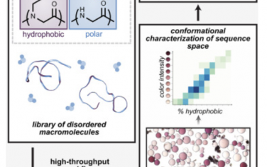 Chem：分析无序类肽序列构象关系并探索疏水模式的高通量工作流程