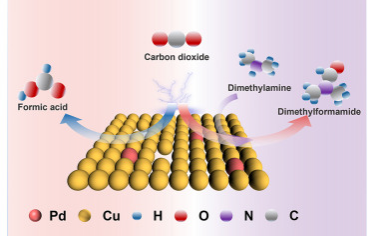 湖南大学Chem：胺和CO2的C-N偶联合成甲酰胺