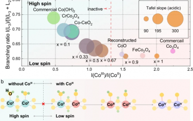 Nature Commun：Co的氧化态/自旋态影响酸性OER活性