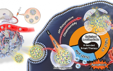 ACS Nano：具有精确的化学药物-光敏剂比例的氢键聚合物纳米药物用于智能癌症治疗