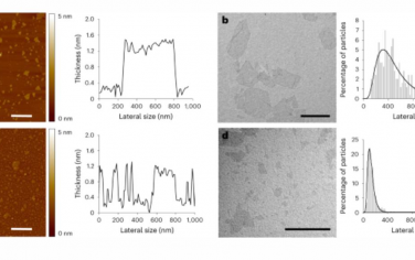 Nature Nanotechnology：首次在人类控制下吸入薄氧化石墨烯纳米片来研究急性心肺反应