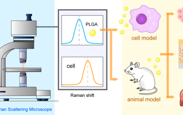 Nano Lett：对细胞和组织中的PLGA纳米粒子进行具有单粒子灵敏度的定量非标记化学成像