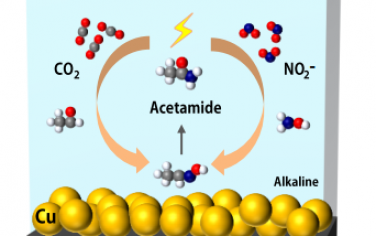Angew：水中二氧化碳和亚硝酸盐电合成乙酰胺