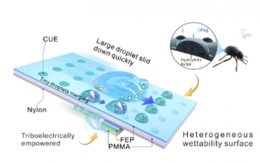 Nano Letters：摩擦电赋能仿生异质润湿性表面可高效收集雾气