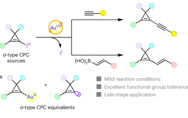 Nature Chem：Au催化σ-环丙烯中间体合成炔烃