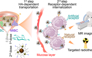 ACS Nano：177Lu标记的生物正交纳米探针用于膀胱癌的成像和降期