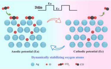 Angew：脉冲电压调控活性氧增强CO2RR选择性