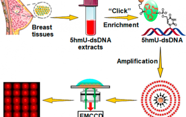Nano Lett：生物正交反应介导的酶促伸长驱动的树状纳米组装体用于对乳腺组织中的5hmU进行全基因组分析