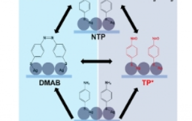 JACS：等离激元催化硫代硫酸盐的机理及反应条件的影响