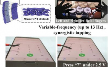 AFM：用于仿生软机器人应用的高性能 MXene/碳纳米管电化学致动器