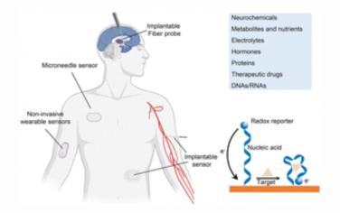 Chem. Soc. Rev.：基于核酸的可穿戴和植入式电化学传感器