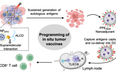 Nano Lett：通过超分子纳米药物/水凝胶复合物和可变形纳米佐剂编程原位肿瘤疫苗以用于肿瘤免疫治疗