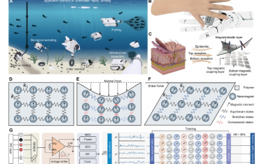 Science Advances：用于水下触觉传感的多模态磁致弹性人造皮肤