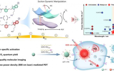 Angew：剖析pH激活的长波长光敏剂中的激子动力学以实现可示踪的光动力疗法