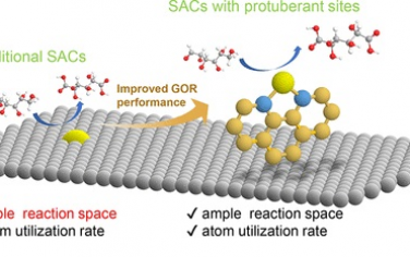 大连化物所&港城大&福建师范JACS：Re单原子用于电催化葡萄糖氧化