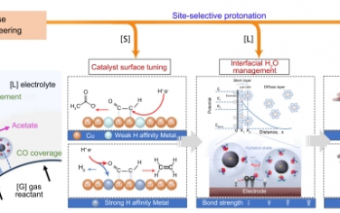 Nat Commun：位点选择性质子化能够有效地将一氧化碳电还原为乙酸盐