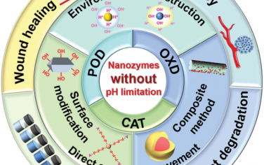 Adv. Mater综述：打破纳米酶的pH限制的机制、方法和应用