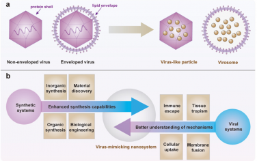 Chem. Soc. Rev：模拟病毒的纳米系统的设计策略和生物医学应用