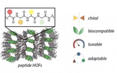 Chem. Soc. Rev.：肽氢键有机骨架