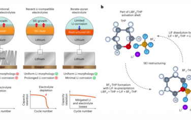 Nature Energy：锂腐蚀最小的硼酸盐-吡喃贫电解质锂金属电池