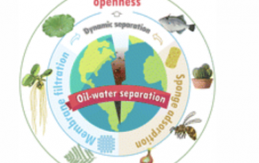 Chem. Soc. Rev.：生物启发的超润湿油水分离策略