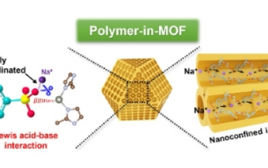 Angew：MOF 中限制聚合物电解质用于安全高性能全固态钠金属电池