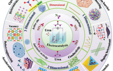 上海理工大学&香港理工大学Adv Mater综述：电催化还原含氮物质合成尿素