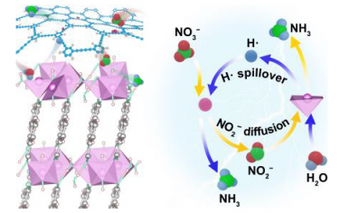 Angew：Ni-MOF/Cu-石墨炔协同电催化还原硝酸盐制氨