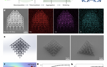 Nature Materials：通过双光子分解和超快光捕获实现金属和合金的直接纳米级3D打印