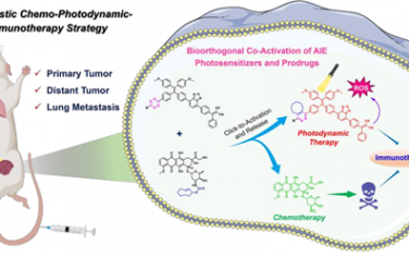 Biomaterials：生物正交策略触发的原位共激活AIE光敏剂和化疗前药以促进化学-光动力-免疫协同治疗