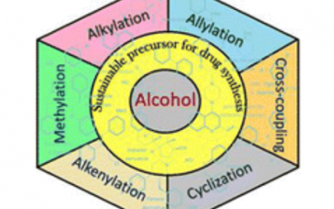 Chem. Soc. Rev.：利用醇类作为后期功能化的可持续试剂
