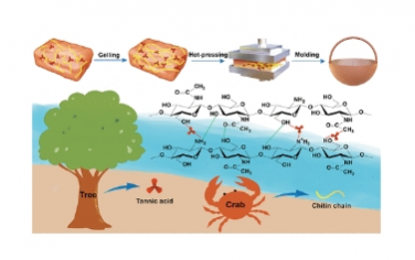 ACS Nano：非共价组装实现的几丁质生物塑料