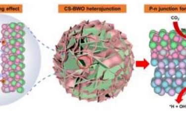 中国地大&武汉理工&郑大Angew：CuS-Bi2WO6异质结光催化还原CO2