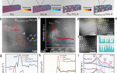 Nature Commun：Pt/TiO2催化剂活化O2和表面晶格氧实现低温CO氧化